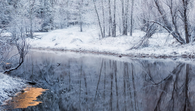 Обои картинки фото природа, зима, лес, река, иней