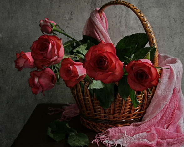 Обои картинки фото irina, kotlova, про, любовь, без, слов, цветы, розы