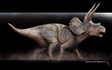 обоя triceratops, horridus, рисованные, животные, доисторические, динозавры, ящеры, рисунок
