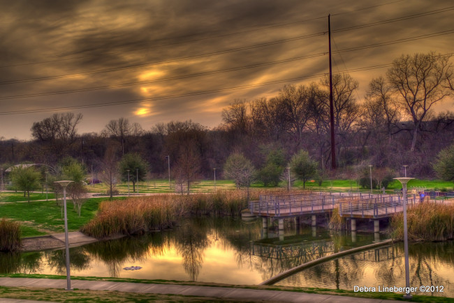 Обои картинки фото butler, park, природа, парк, austin, texas