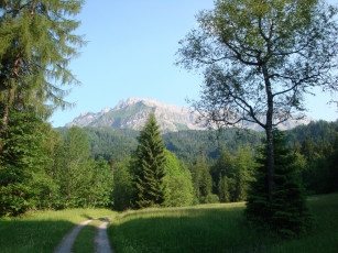 Картинка швейцария люцерн кринс природа дороги горы дорожка лес