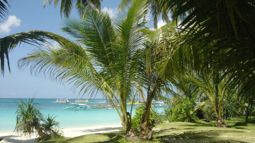 Картинка природа тропики лодки море пальмы