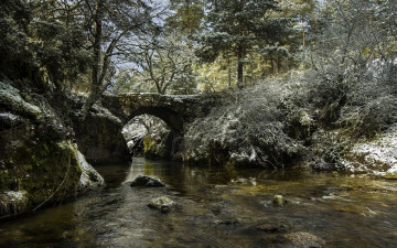Картинка природа реки озера каменный мост лес река