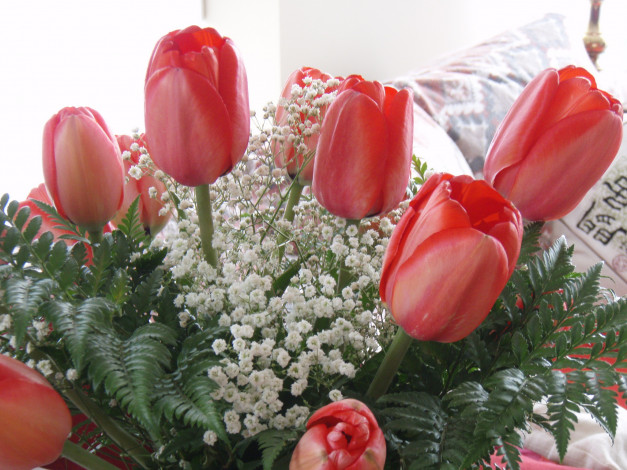 Обои картинки фото цветы, букеты, композиции, тюльпаны