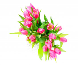 Картинка цветы тюльпаны ваза розовые белый фон