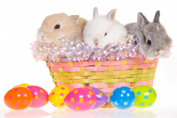 Картинка животные кролики +зайцы пасха яйцо easter корзина