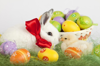 Картинка животные разные+вместе травка яйца цыпленок кролик пасха праздник