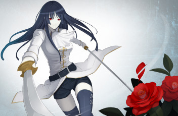 Картинка аниме gintama мечи чулки розы красные глаза девушка гинтама imai nobume