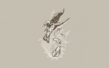 Картинка рисованные минимализм птица перья