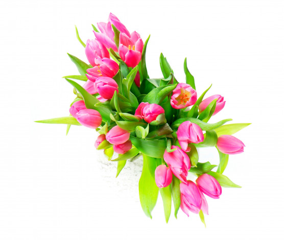 Обои картинки фото цветы, тюльпаны, ваза, розовые, белый, фон