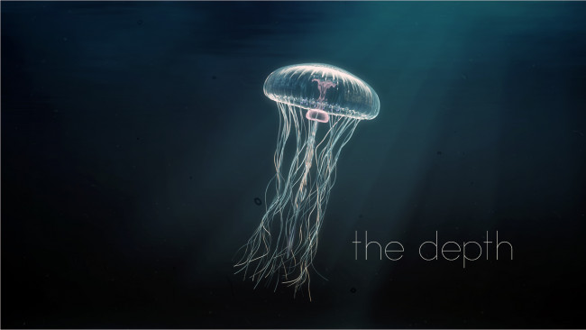 Обои картинки фото 3д графика, animals , животные, медуза, вода