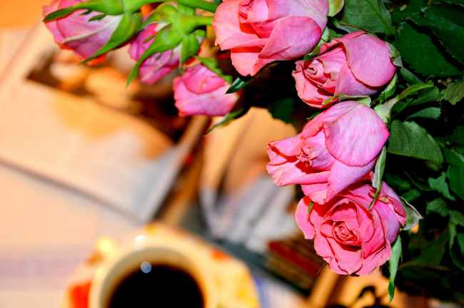 Обои картинки фото цветы, розы, розовые, кофе