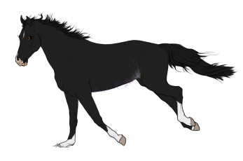 Картинка рисованное животные +лошади лошадь взгляд