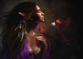 Картинка фэнтези эльфы эльф девушка настроение птицы цветок перья