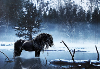 Картинка рисованное животные чёрный водопой лес лошадь вода конь