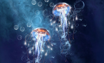 Картинка рисованное животные вода океан медузы мир подводный море