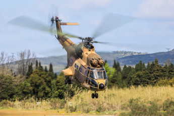 Картинка puma авиация вертолёты вертушка