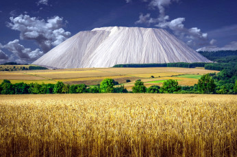Картинка природа пейзажи пшеница поле горы