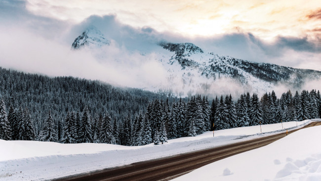 Обои картинки фото природа, дороги, дорога, туман, горы, снег, зима