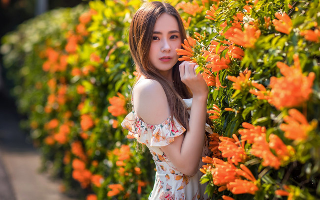 Обои картинки фото девушки, - азиатки, цветы, азиатка, платье
