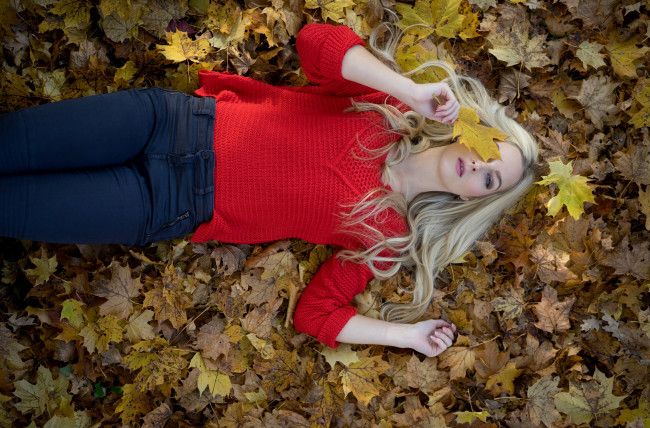 Обои картинки фото девушки, - блондинки,  светловолосые, осень, листья, блондинка