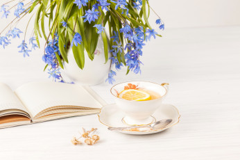 Картинка еда напитки +чай цветы тетрадь чай лимон