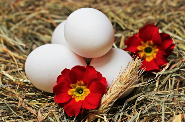 Обои картинки фото праздничные, пасха, яйца, цветы, солома, колосок