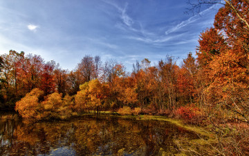 Картинка природа лес осень багрянец пруд