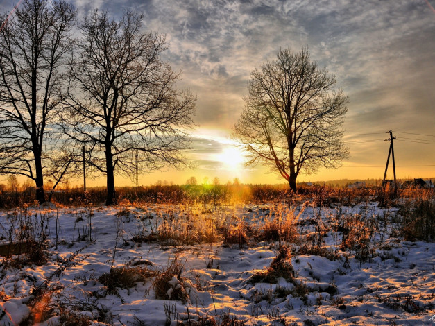 Обои картинки фото природа, восходы, закаты, трава, деревья, снег, закат