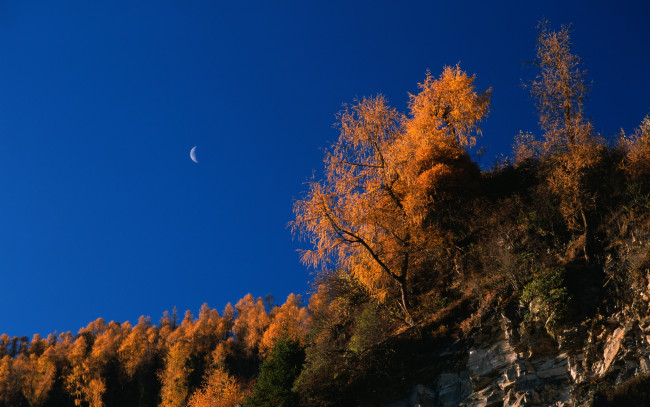 Обои картинки фото природа, другое, скалы, осень
