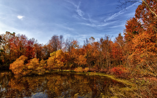 Обои картинки фото природа, лес, осень, багрянец, пруд