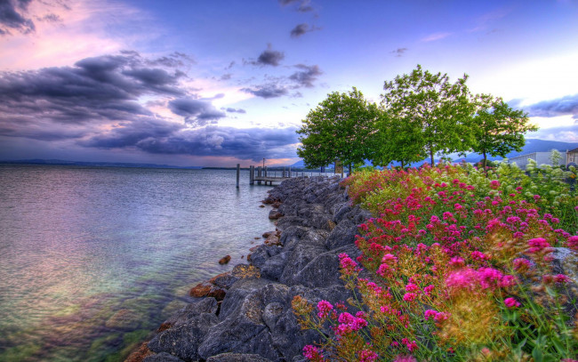 Обои картинки фото природа, побережье, цветы, деревья, камни, море