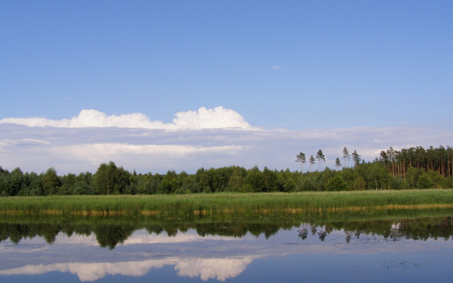 Обои картинки фото природа, реки, озера, лес, облака, река, отражение