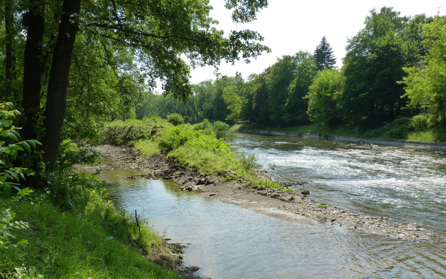Обои картинки фото природа, реки, озера, поток, деревья, река