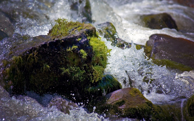 Обои картинки фото water, through, rocks, природа, вода, поток, камни, пороги