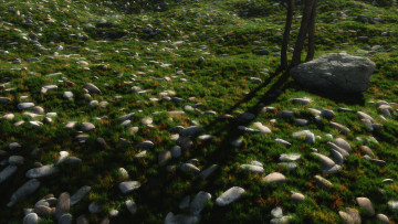 Картинка 3д графика nature landscape природа камни трава
