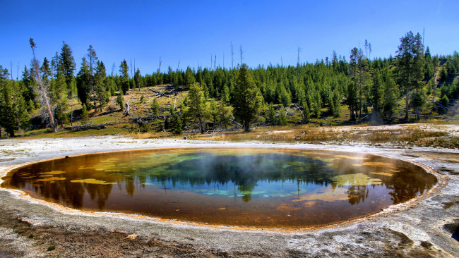 Обои картинки фото beauty pool,  yellowstone national park,  wyoming, природа, стихия, гейзер, каверна, лес