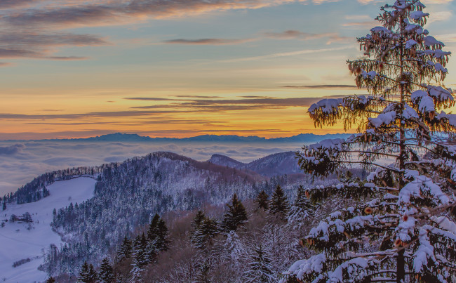 Обои картинки фото природа, зима, облака, зарево, небо, ель, снег, горы, деревья, туман
