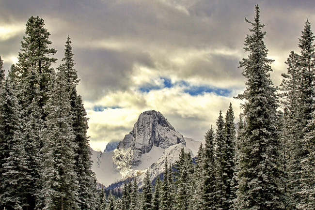Обои картинки фото природа, зима, облака, лес, горы