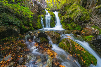 Картинка природа водопады каскад водопад лес