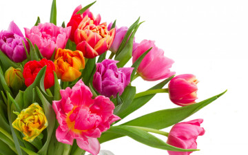 Картинка цветы тюльпаны colorful bouquet flowers tulips