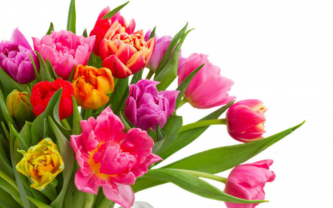 Обои картинки фото цветы, тюльпаны, colorful, bouquet, flowers, tulips