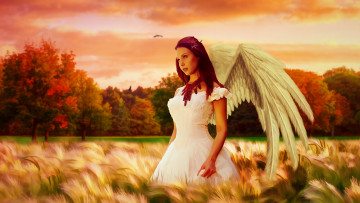 Картинка фэнтези фотоарт крылья девушка платье фон поле