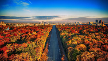 Картинка города берлин+ германия осень деревья парк шоссе панорама