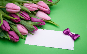 Картинка цветы тюльпаны лиловый бутоны бант записка бумага
