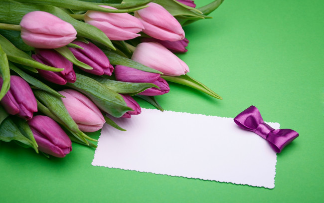 Обои картинки фото цветы, тюльпаны, лиловый, бутоны, бант, записка, бумага