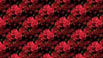 Картинка разное компьютерный+дизайн роза фон цветы