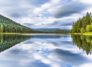Картинка природа реки озера лес отражение водоем