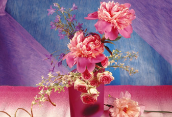 Картинка цветы букеты +композиции пионы розы