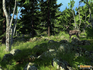 Картинка the hunter видео игры